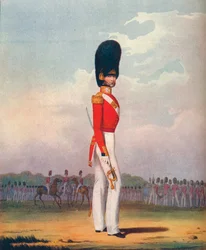 Offizier, Grenadier Guards