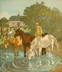 Der Bauernjunge tränkt Pferde (ca. 1881)