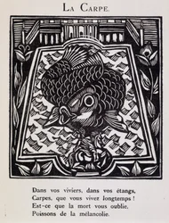 Karpfen - in „Le Bestiaire ou cortège d