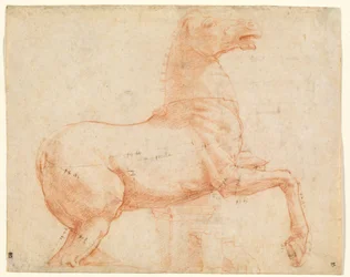 Ein Marmorpferd auf dem Quirinalshügel