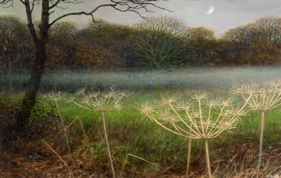 Dezember in der Dämmerung: Nebel über den Feldern
