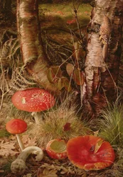 Fliegenpilze