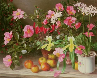 Novemberblumen