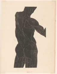 Anatomische Studie der Rücken- und Gesäßmuskeln eines Mannes im Silhouette