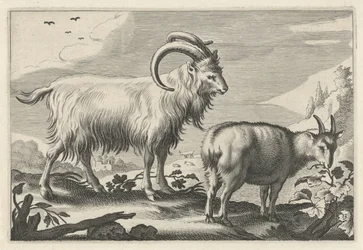 Hügelige Landschaft mit zwei Ziegen