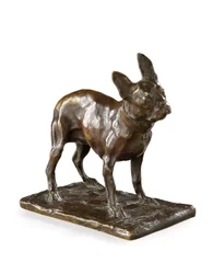 Französische Bulldogge, kleines Modell, 1905