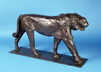 La Puma