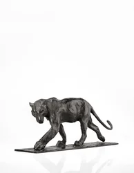 Panther im Gehen, Hinterbein erhoben, ca. 1904