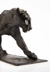Panther im Gehen, Hinterbein erhoben, ca. 1904