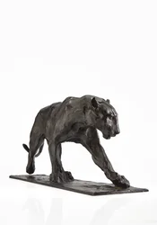 Panther im Gehen, Hinterbein erhoben, ca. 1904