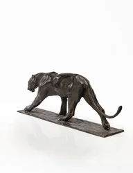 Panther im Gehen, Hinterbein erhoben