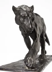 Panther im Gehen, Hinterbein erhoben, ca. 1904