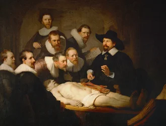 Die Anatomie des Dr