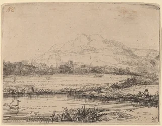 Kanal mit einem Angler und zwei Schwänen