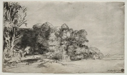 Baumgruppe mit Aussicht