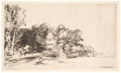 Baumgruppe mit Aussicht