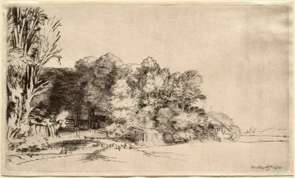 Landschaft mit einer Baumgruppe