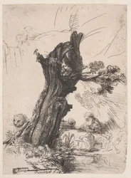 S. Hieronymus neben einer Kopfweide