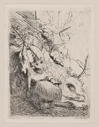 Die kleine Löwenjagd (mit einem Löwen)