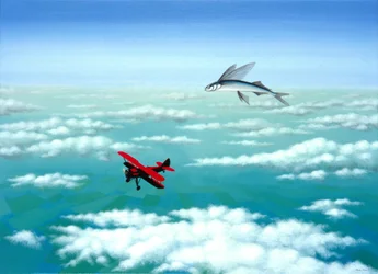 Fliegender Fisch, 2001