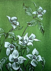 Grüne botanische Blüten