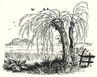 Hans Christian Andersen: Der Buchweizen (Lithographie)