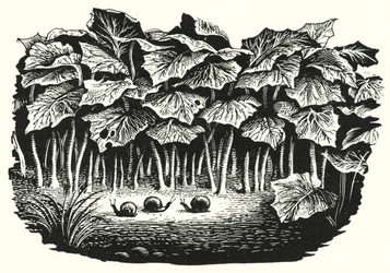 Hans Christian Andersen: Die glückliche Familie