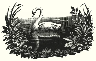 Hans Christian Andersen: Das hässliche Entlein