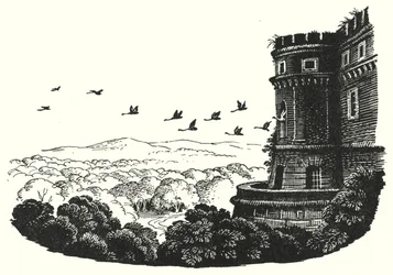 Hans Christian Andersen: Die wilden Schwäne