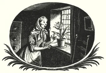 Hans Christian Andersen: Däumelinchen