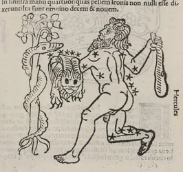 Das Sternbild des Herkules