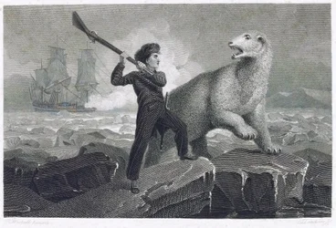 Der junge Horatio Nelson (1758-1805), der 1773 an einer Expedition zum Nordpol teilnahm, kämpfte auf dem Eis gegen einen Eisbären, als seine Waffe klemmte, versuchte er ihn mit dem Kolben zu schlagen, weil er seinem Vater einen Mantel schenken wollte