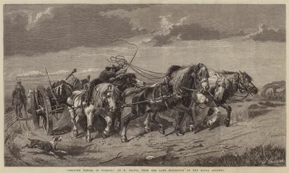 Holztransport in der Picardie