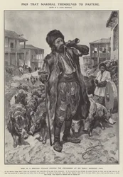 Schweine, die sich zur Weide marschieren (Lithografie)