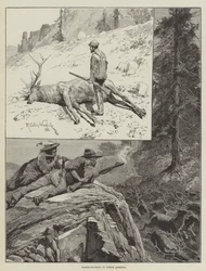 Wapiti-Jagd in Nordamerika (Gravur)