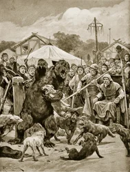 Bärenhetze in sächsischen Zeiten, Illustration aus 