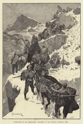 Aufstand in der Herzegowina, Aufständische der Crivoscie kehren nach Hause zurück