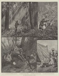 Meine erste Büffeljagd in Indien