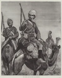 Das Kamelkorps für die Nil-Expedition