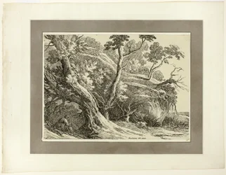 Landschaft mit großen Bäumen, aus der ersten Ausgabe von Specimens of Polyautography