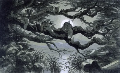 Feen, Nymphen und Elfen ruhen sich im Mondschein auf einem Ast aus? Illustration aus "In Fairy Land. A series of pictures from the elf-world" von Richard Doyle 1869-1870