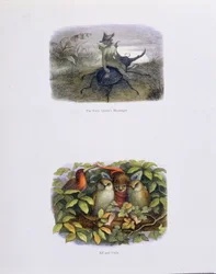 Der Bote der Feenkönigin, und Elf und Eulen, Illustrationen aus 