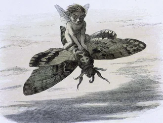 Ein Elf, der auf einem Schmetterling reitet. Illustration von Richard Doyle aus "In Fairy land. Eine Serie von Bildern aus der Elfenwelt" begleitet von einem Gedicht von W Allingham. 1869-1870. The British Library Institution Reference: Shelfmark ID: 1876 