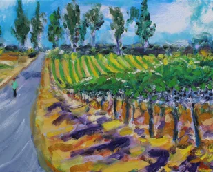 Ein Spaziergang im Weinland, Napa