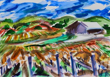 Napa im Herbst, 2017