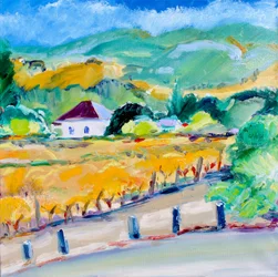 Weinberg im Herbst, Napa