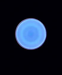 Kreis X, 2005