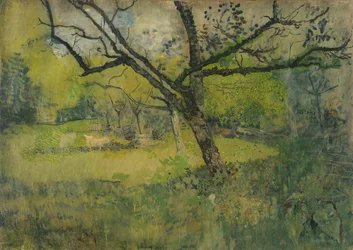 Obstgarten in Eemnes