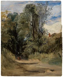Ein Waldweg