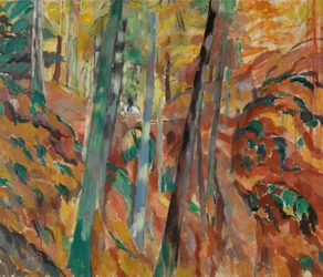 Die Schlucht A